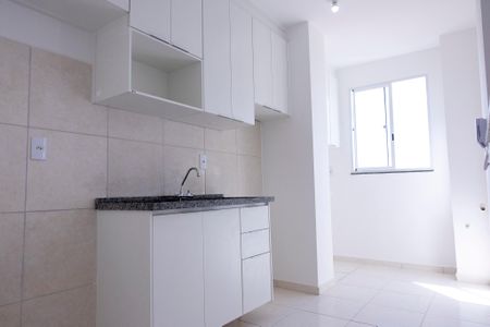 Apartamento para alugar com 50m², 2 quartos e 1 vagaCozinha - Armários
