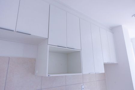 Apartamento para alugar com 50m², 2 quartos e 1 vagaCozinha - Armários