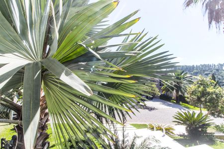 Casa de condomínio à venda com 462m², 5 quartos e 4 vagas Casa de condomínio à venda com 462m², 5 quartos e 4 vagasVista da Rua