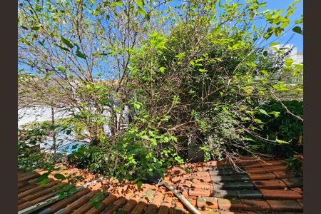 Apartamento à venda com 190m², 5 quartos e 2 vagasVista