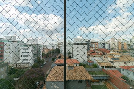 Apartamento à venda com 4 quartos, 244m² em Castelo, Belo Horizonte