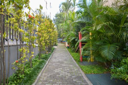 Apartamento para alugar com 72m², 3 quartos e 1 vagaÁrea comum - Playground