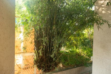 Vista da Sala de apartamento para alugar com 2 quartos, 46m² em Santíssimo, Rio de Janeiro