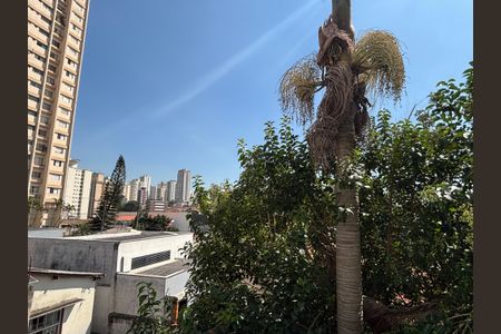 Apartamento para alugar com 42m², 1 quarto e sem vagaQuarto