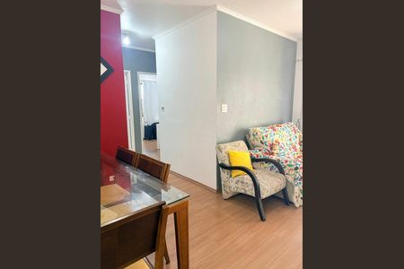 Apartamento à venda com 3 quartos, 62m² em Vila Mascote, São Paulo