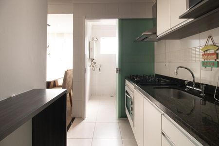 Apartamento para alugar com 50m², 2 quartos e 1 vagaCozinha - Armários