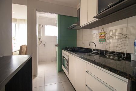 Apartamento para alugar com 50m², 2 quartos e 1 vagaCozinha - Armários