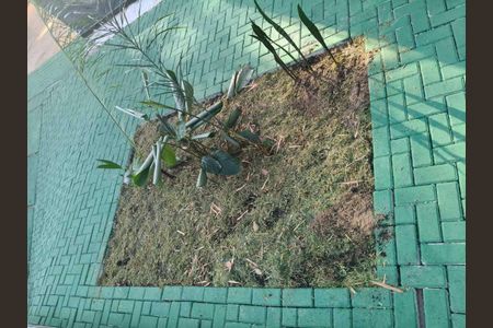 Casa de condomínio para alugar com 230m², 4 quartos e 2 vagasÁrea externa