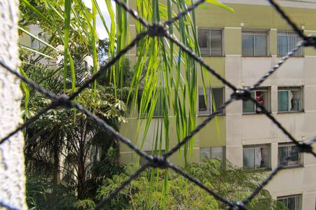 Apartamento para alugar com 50m², 3 quartos e sem vagaVista Quarto 2