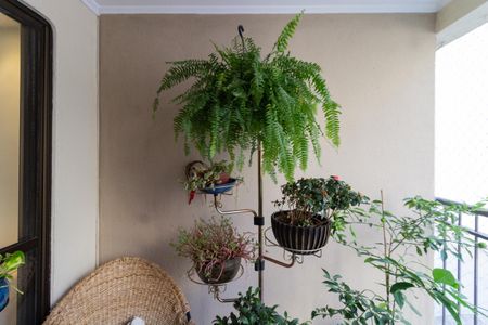 Apartamento para alugar com 62m², 2 quartos e 1 vagaVaranda