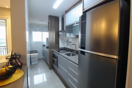 Cozinha de apartamento para alugar com 2 quartos, 50m² em Instituto de Previdencia, São Paulo
