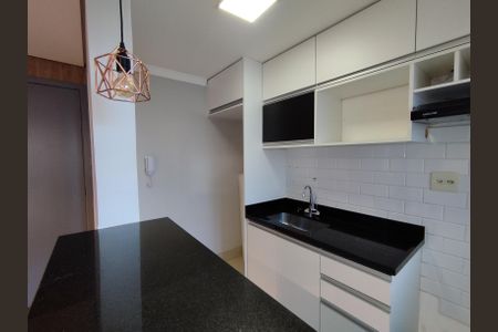 Apartamento para alugar com 45m², 2 quartos e 1 vagaCozinha - Armários