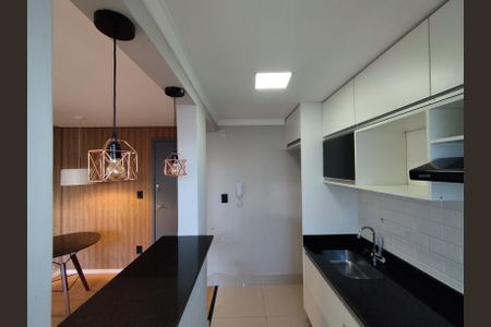 Apartamento para alugar com 45m², 2 quartos e 1 vagaCozinha - Armários
