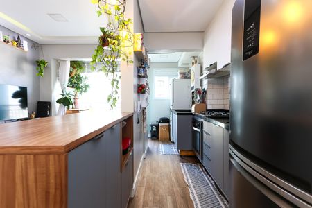 Apartamento à venda com 50m², 2 quartos e 1 vaga Apartamento à venda com 50m², 2 quartos e 1 vagacozinha