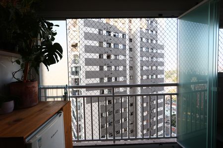 varanda de apartamento para alugar com 2 quartos, 50m² em Jardim Umarizal, São Paulo