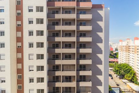Apartamento para alugar com 30m², 1 quarto e sem vagaVista - Área de Serviço