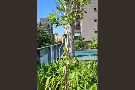 Apartamento para alugar com 67m², 2 quartos e 1 vagaPiscina