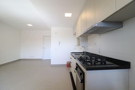 Apartamento para alugar com 67m², 2 quartos e 1 vagaCozinha