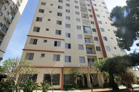 Apartamento para alugar com 50m², 2 quartos e 1 vagaFachada do bloco