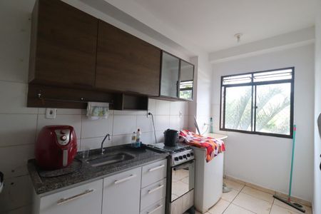 Cozinha de apartamento para alugar com 2 quartos, 48m² em Conjunto Habitacional Jardim das Palmeiras, Ribeirão Preto