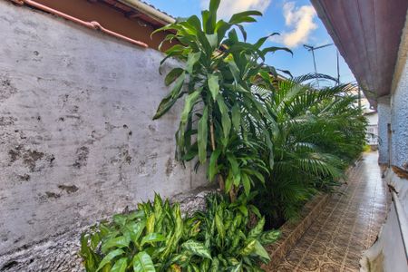 Casa para alugar com 264m², 4 quartos e 5 vagas Casa para alugar com 264m², 4 quartos e 5 vagasJardim