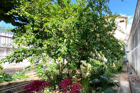 Casa à venda com 310m², 2 quartos e 3 vagasQuintal