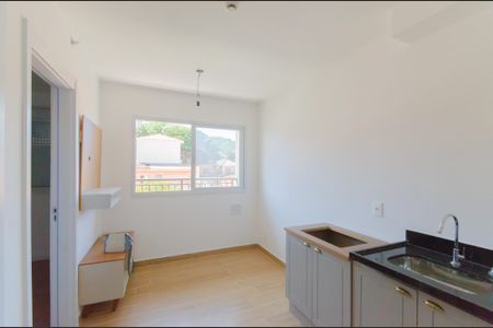 Sala/Cozinha de apartamento para alugar com 1 quarto, 32m² em Vila São José, São Paulo