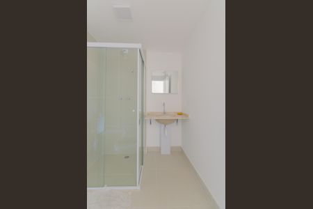 Banheiro de apartamento para alugar com 1 quarto, 32m² em Vila São José, São Paulo