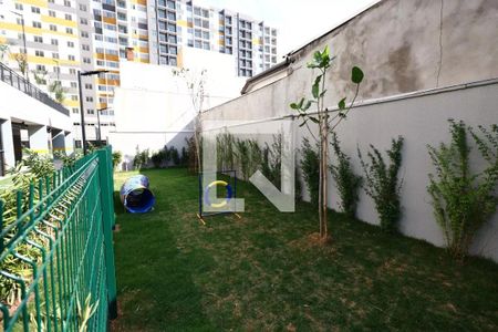 Studio para alugar com 24m², 1 quarto e sem vagaEspaço pet