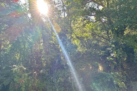 Apartamento para alugar com 1 quarto, 30m² em Copacabana, Rio de Janeiro