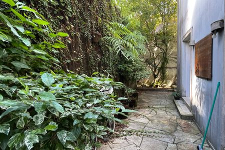 Casa para alugar com 300m², 3 quartos e 2 vagasQuintal