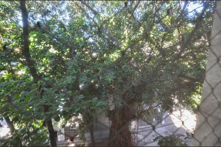 Sala de apartamento à venda com 3 quartos, 100m² em Tijuca, Rio de Janeiro