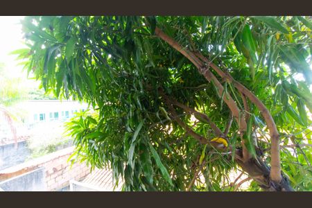 Kitnet/Studio para alugar com 1 quarto, 40m² em Piratininga, Niterói