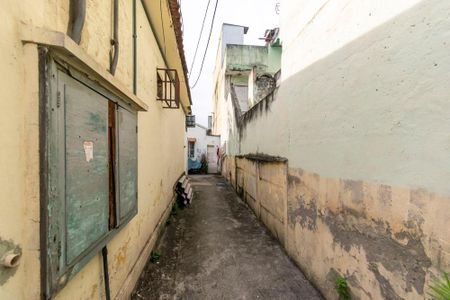 Casa para alugar com 55m², 1 quarto e sem vagaÁrea comum de acesso