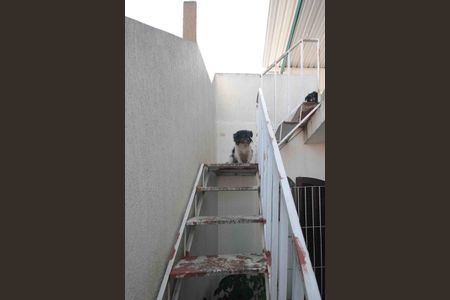 Casa à venda com 250m², 3 quartos e 2 vagas