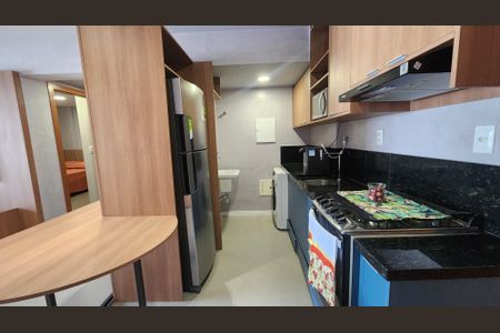 Apartamento para alugar com 66m², 2 quartos e 1 vagaCozinha - Armários