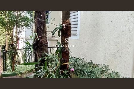 Apartamento à venda com 2 quartos, 47m² em Jardim Leonor, São Paulo