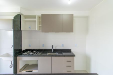 Apartamento para alugar com 56m², 2 quartos e 1 vagaCozinha - Armários
