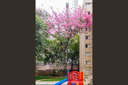 Apartamento à venda com 65m², 3 quartos e 1 vagaÁrea comum