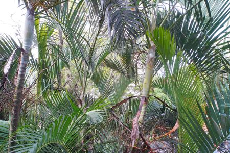 Apartamento à venda com 100m², 3 quartos e sem vagaQuarto 2_Vista 