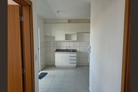 Cozinha de apartamento para alugar com 2 quartos, 47m² em Jardim Inconfidencia, Uberlândia