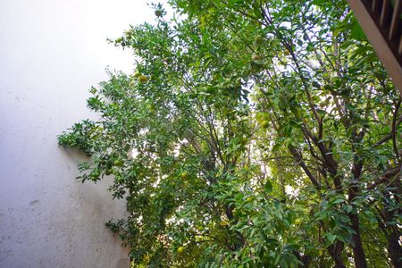 Quarto suíte _Vista  de apartamento para alugar com 3 quartos, 64m² em Santa Cecília, Porto Alegre