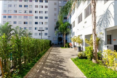 Apartamento para alugar com 35m², 2 quartos e sem vagaÁrea comum