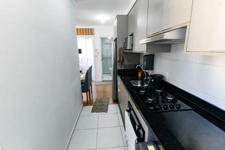Apartamento para alugar com 36m², 2 quartos e 1 vagaCozinha - Armários