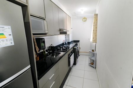 Apartamento para alugar com 36m², 2 quartos e 1 vagaCozinha - Armários