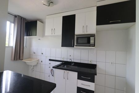 Cozinha de apartamento para alugar com 2 quartos, 55m² em Jardim Helena, Ribeirão Preto