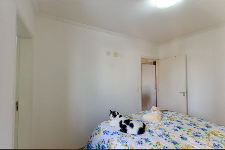 Apartamento à venda com 62m², 2 quartos e 1 vaga Apartamento à venda com 62m², 2 quartos e 1 vagaSuíte