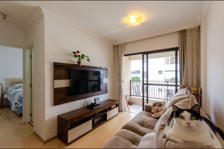 Apartamento à venda com 62m², 2 quartos e 1 vaga Apartamento à venda com 62m², 2 quartos e 1 vagaSala