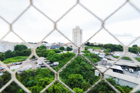 Apartamento para alugar com 64m², 3 quartos e 1 vagaVista da Suíte