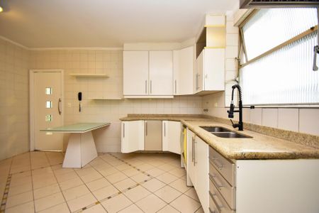 Apartamento para alugar com 230m², 3 quartos e 2 vagascozinha